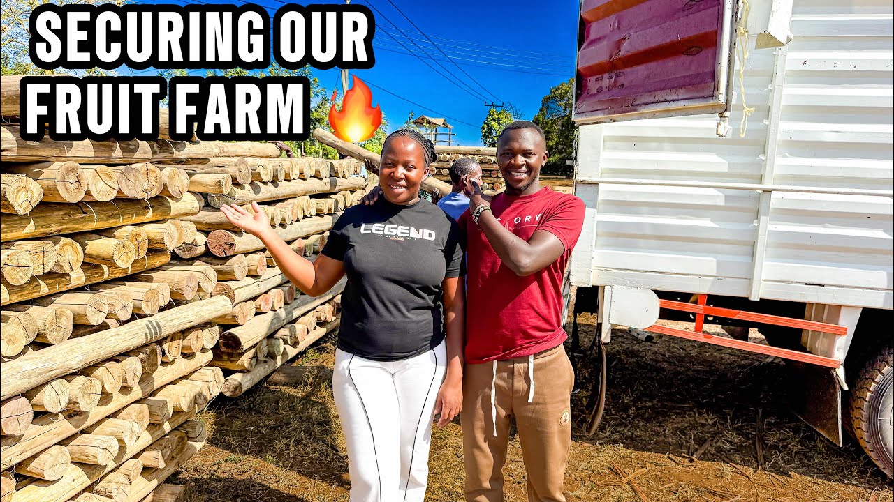 Unbelievable! Buying Fencing Poles for Our Fruit Farm 🌳 | Juicy Grilled Lamb Leg Over Fire 🔥🏡