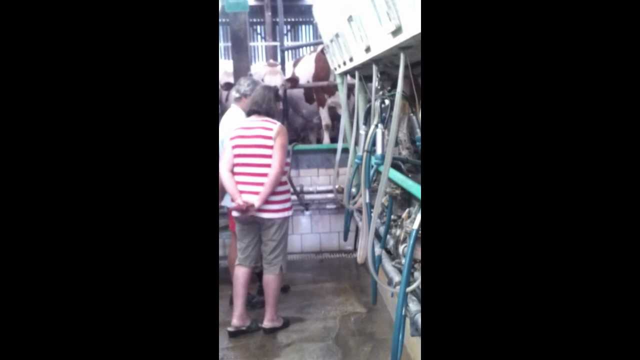 L'usine &agrave; lait, vers Turqueville, septembre 2012