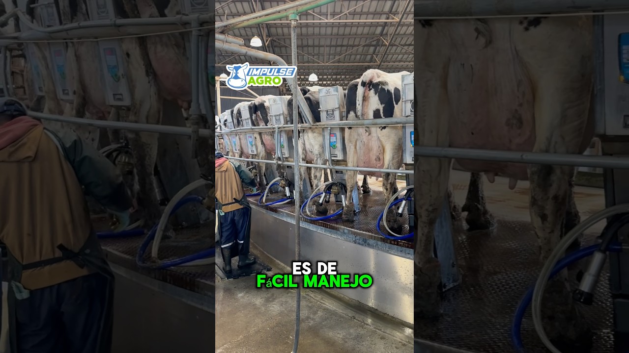 Sala de ordeño rotativa AFIMILK 