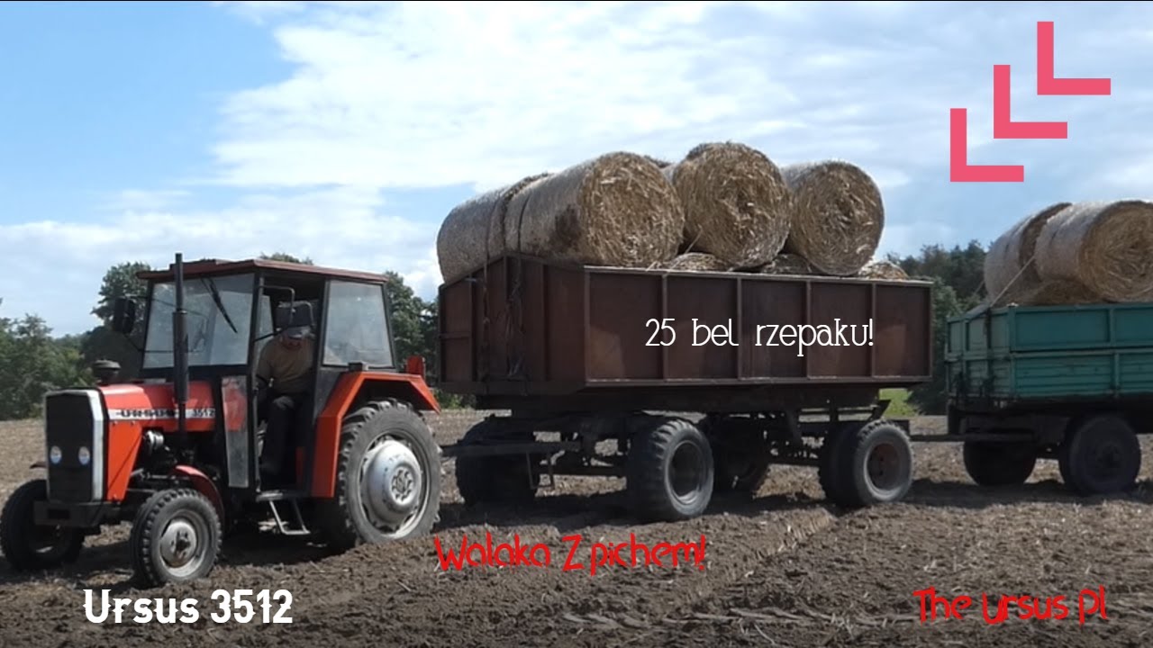 ☆Ursus 3512 vs 25 bel rzepaku!❗ ☆Ursus 1201 z Widłami!❗ ☆Walka z piachem!❗Wyjazd na zpych 12stki!❗
