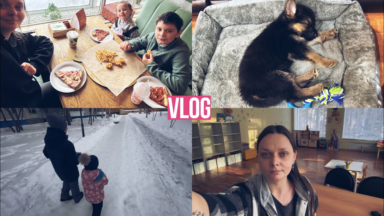 Новости января⚡️| Завели собаку🐕|Ситуация на работе🫣