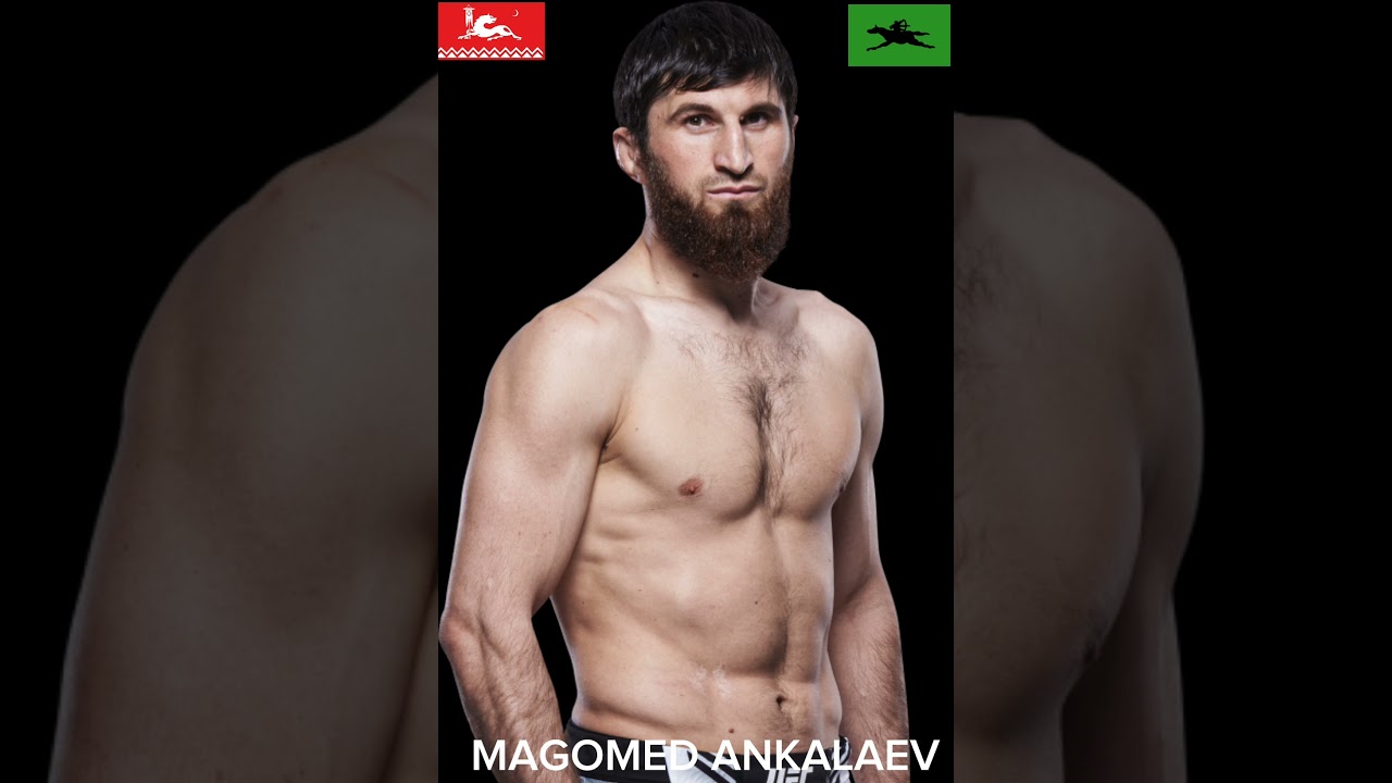 Avars at UFC | Аварцы в UFC | Avarlar UFC'de