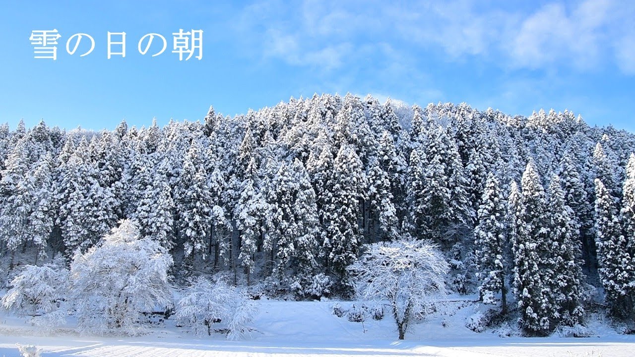 「今週もお疲れさまでした」　心を癒すたった２分の映像詩　小さな旅です