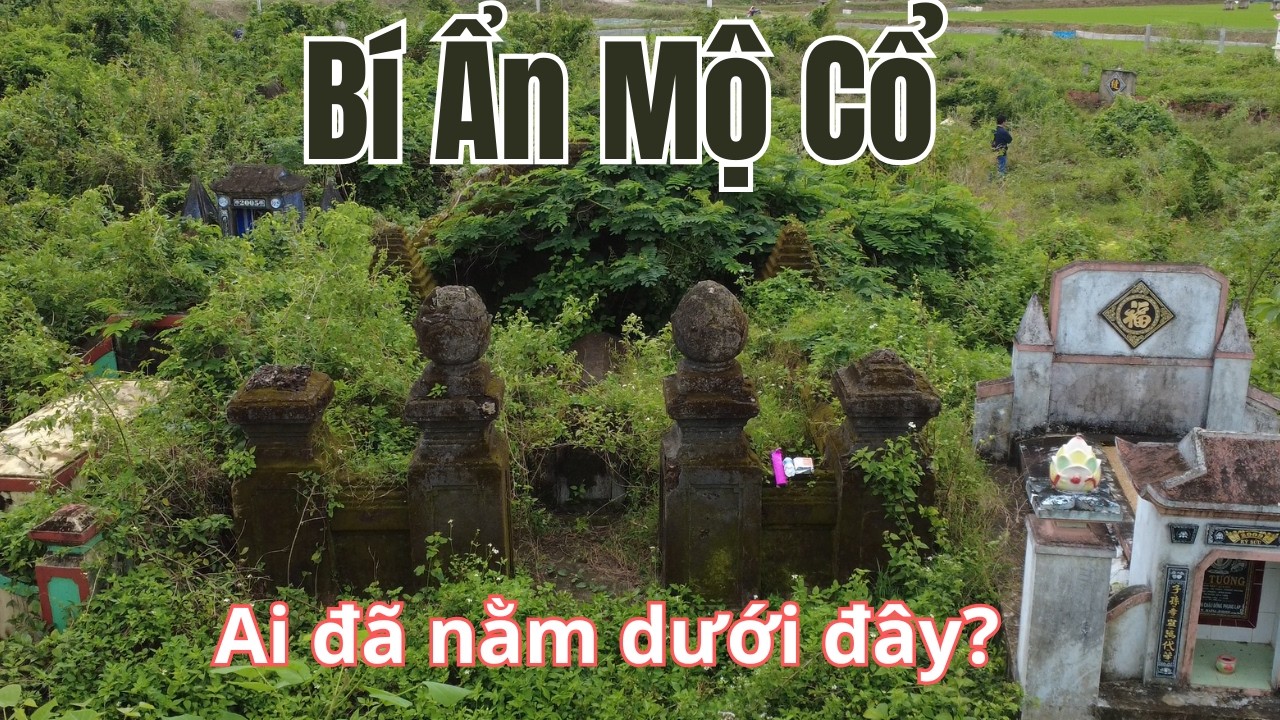 Bí ẩn mộ cổ có loài cỏ kết nối với thần linh | Buổi Sáng Sớm Giữa Nghĩa Trang | Gỏi Vlog