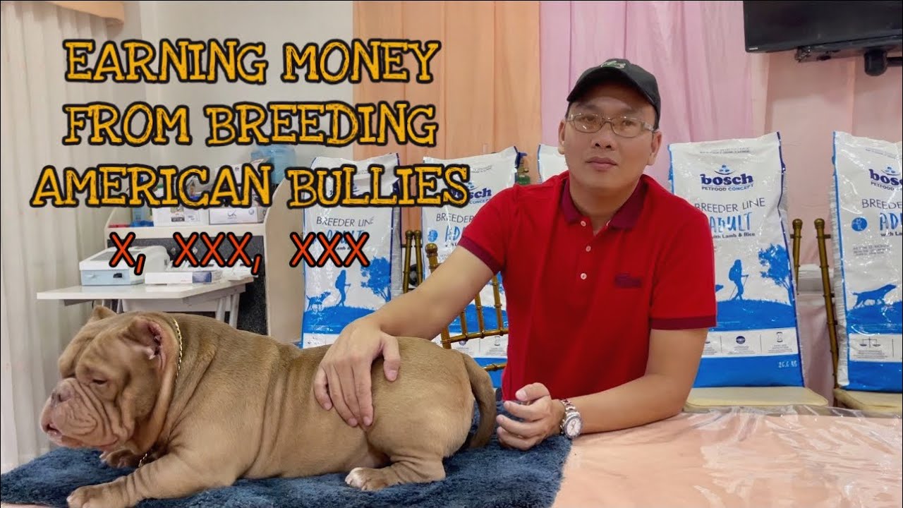 Dream Outcome for your Bully Breeding | Lil Woozy Updates | Woozy Season