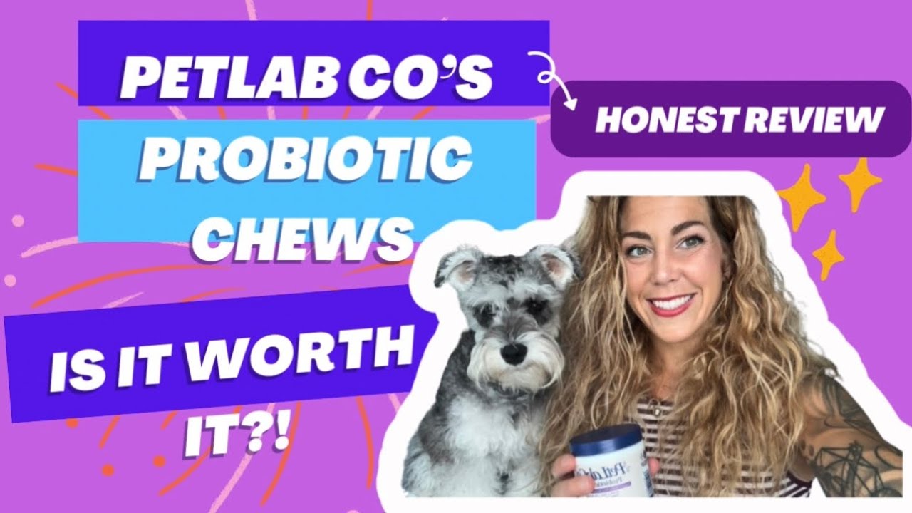 PetLab Co.&rsquo;s Probiotic Chews Honest Review | Is it Worth it?!