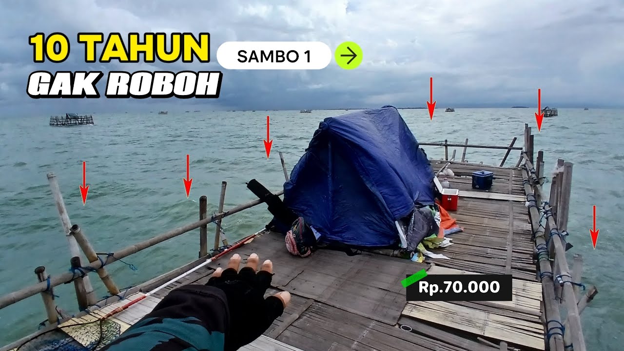 10 tahun berdiri.. ‼️bagan sambo 1, tak pernah lekang oleh waktu  tanjung kait || 70.000
