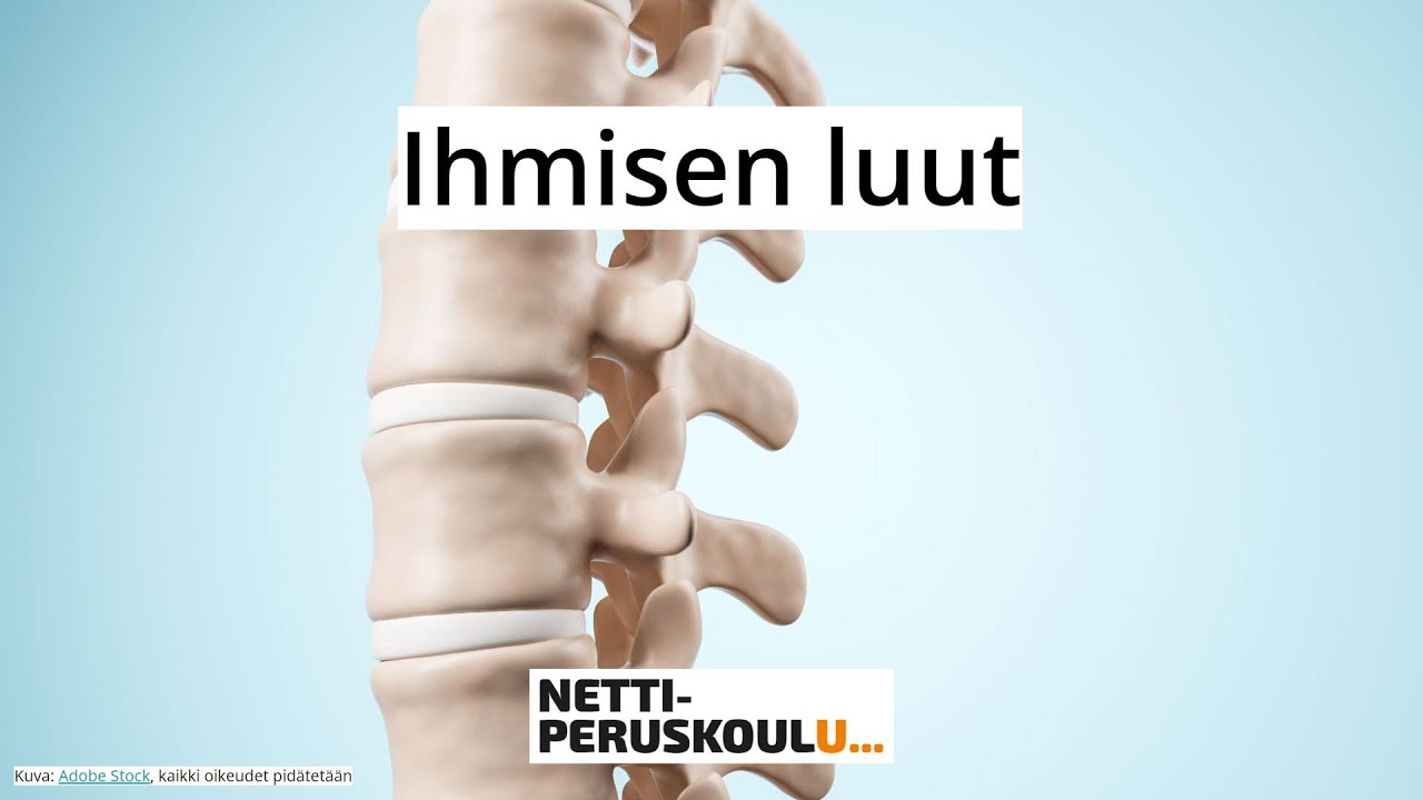 ayl1: Ihmisen luut (perusopetus)