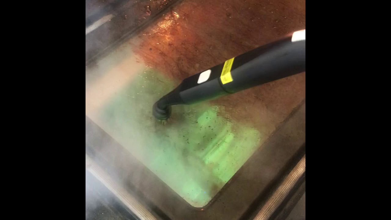 Dupray Neat Steamer