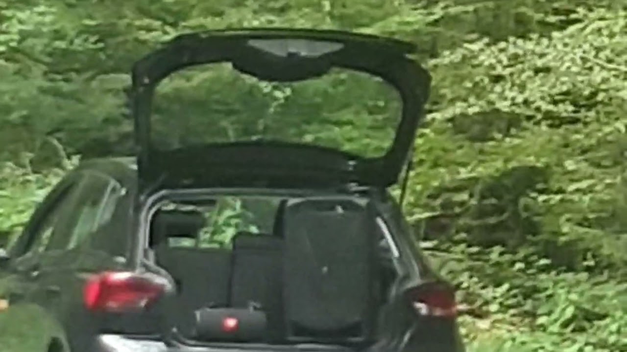 Proel V12 Free VS JBL Xtreme 2 loudness comparison