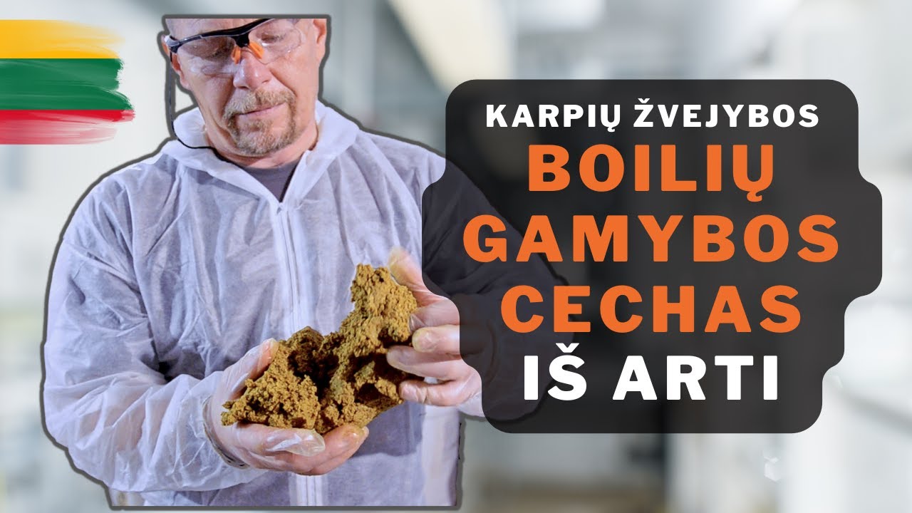 Karpių žvejybai skirtų boilių gamyba iš arti