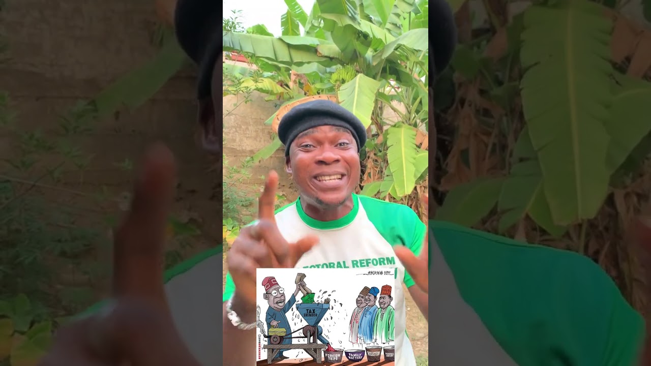 ПОДДЕЛКА В НАЛОГОВОМ ЗАКОНЕ? 🇳🇬