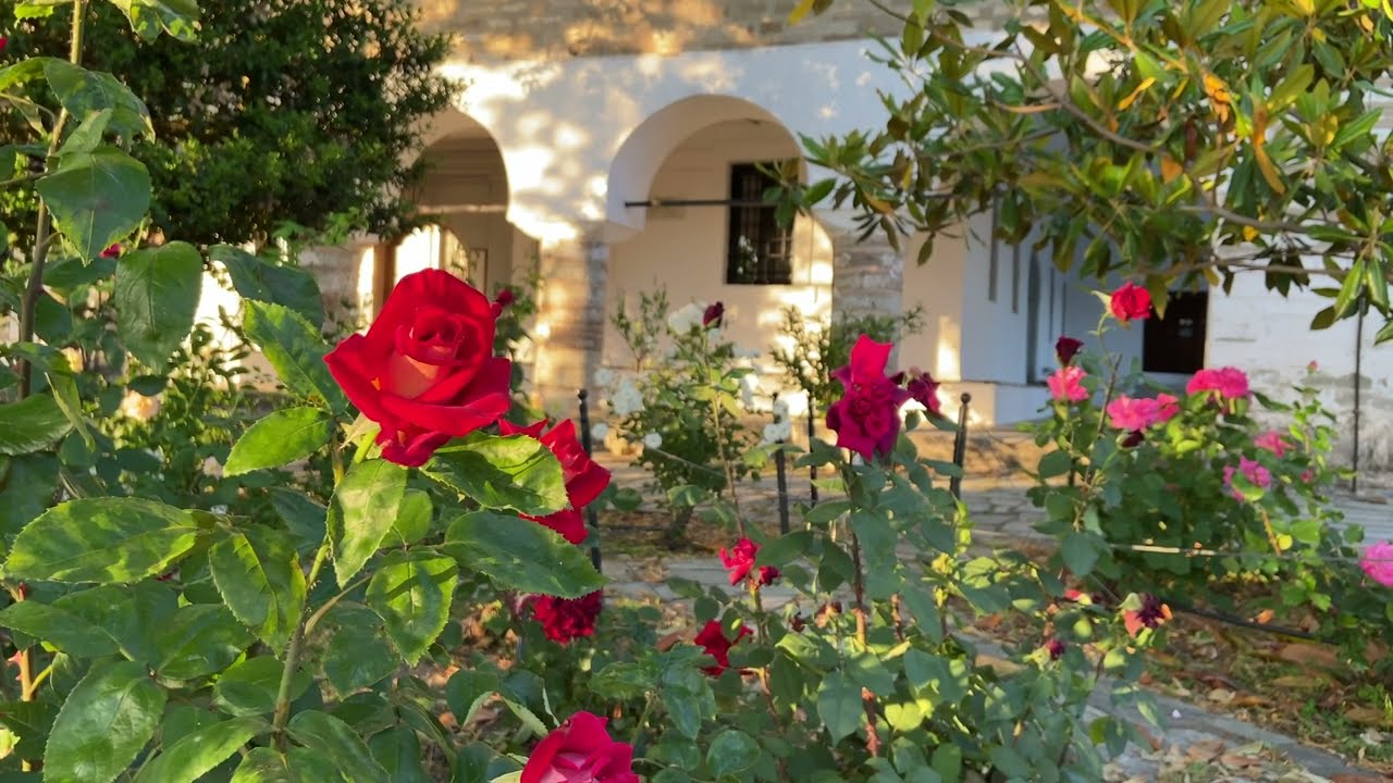 Μια (μικρή) βόλτα στην Πορταριά Πηλίου (31/5/2022) - Portaria Pilio Walking tour