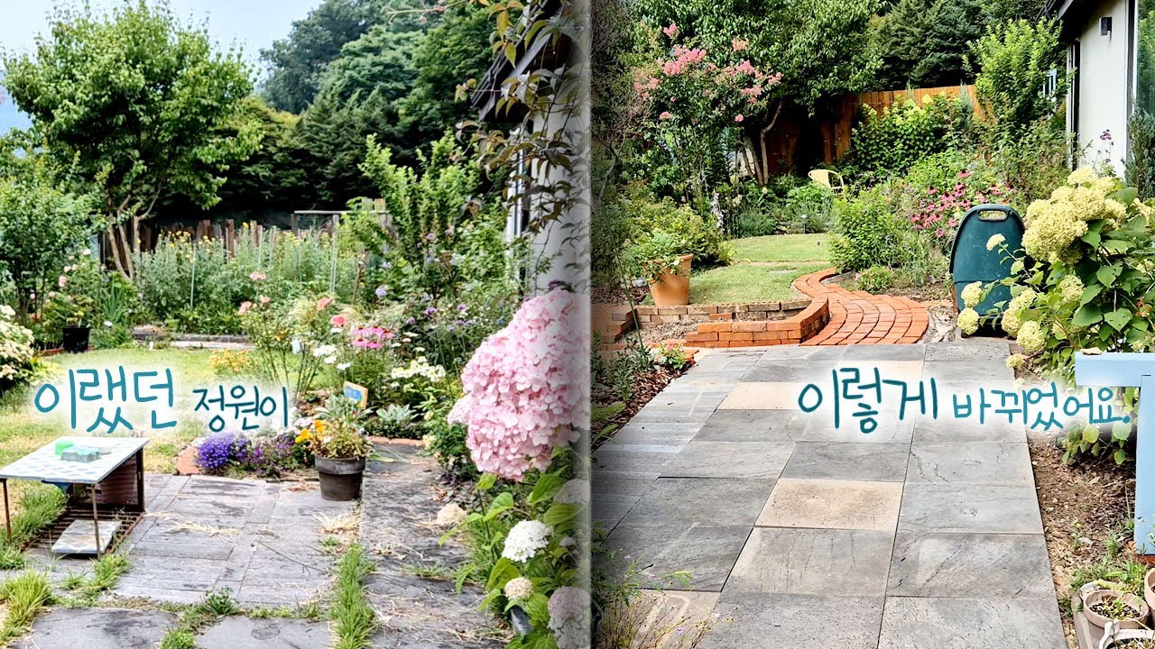 11년된 정원 앞마당을 뒤엎었어요 / 7월에 꼭 해야하는 전정작업
