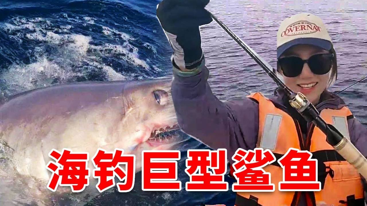 海釣巨型鯊魚是怎樣的體驗！泰緬國境附近有&ldquo;巨物之海&rdquo;，今天來挑戰一把