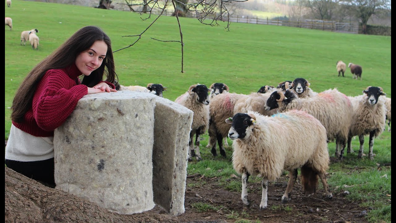 The Making of Thermafleece - From Fleece to Insulation