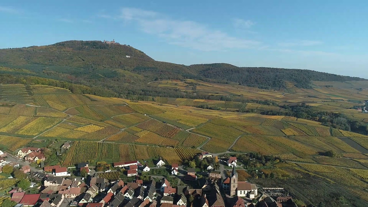 Domaine Kress Bleger et Fils - Vins d'Alsace