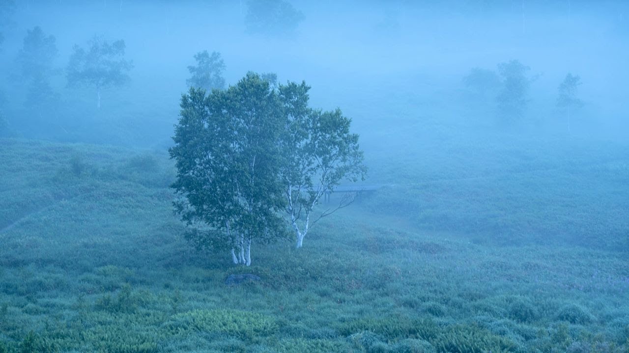 Morning on the Plateau    Tanohara Marsh   Kayanodaira Plateau                     高原の朝　田ノ原湿原　カヤノ平高原