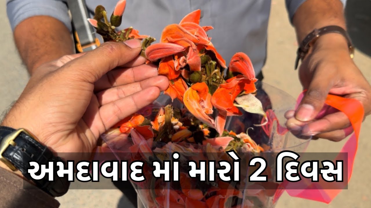 અમદાવાદ માં મારો 2 દિવસ ॥ અજાણીયા મેરેજ માં જલસો કર્યો 