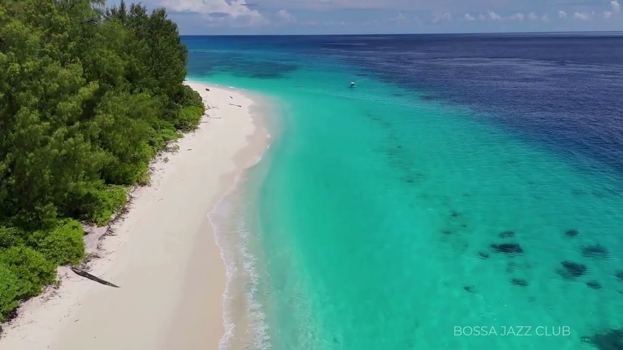 SAUDADE DO MAR / Bossa Nova & Jazz