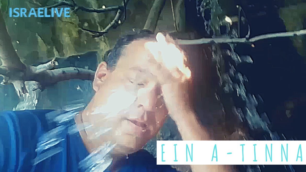 Tours in Israel - Ein A-Tinna spring - Guided tour with guide Michael