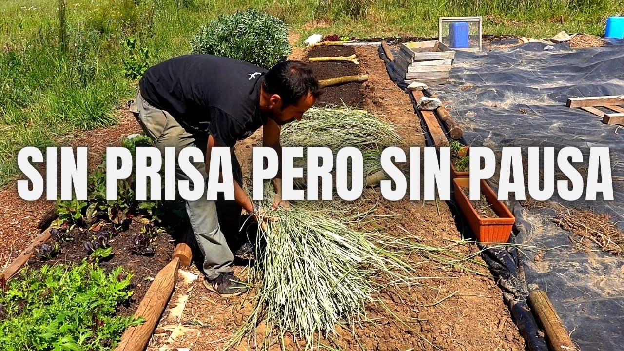 Sin prisa pero sin pausa: diario de una huerta familiar