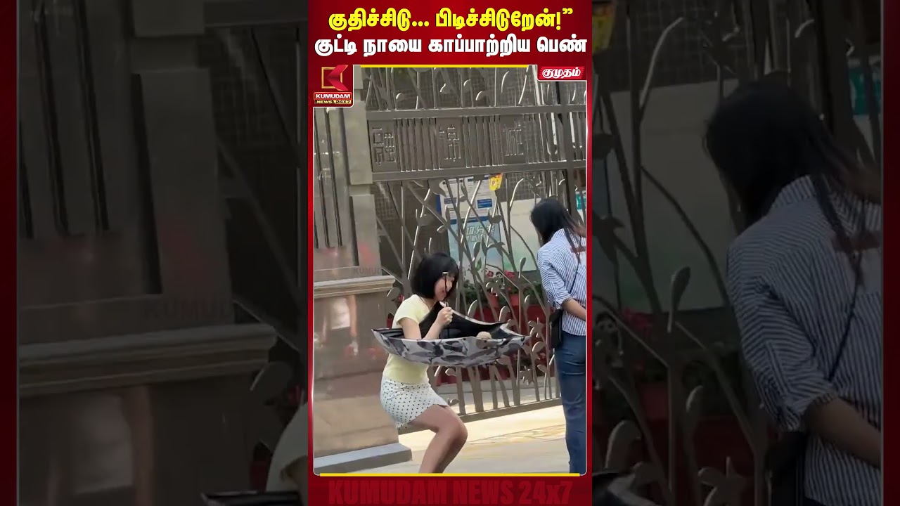 குதிச்சிடு... பிடிச்சிடுறேன்!&rdquo; குட்டி நாயை காப்பாற்றிய பெண் | China | Animal Rescue | Cute Dog