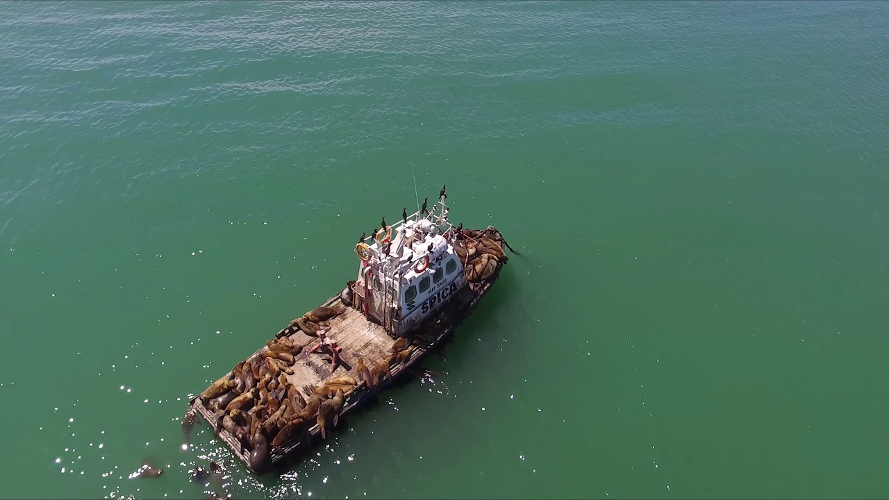 Caleta Córdova Comodoro Rivadavia