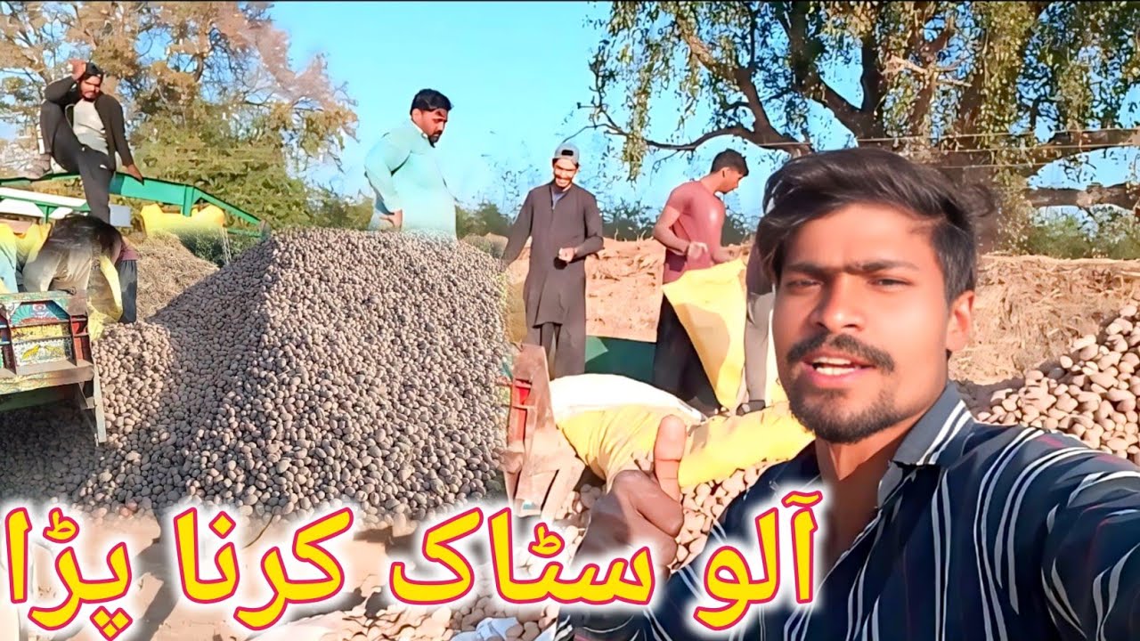 Aalu Ka Dheer Lagaya Aalu Satak Kia | Punjabi Vlog