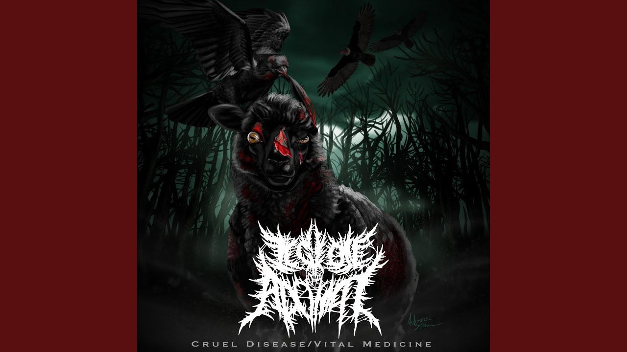 Cruel Disease/Vital Medicine (feat. Matthew McNamara)