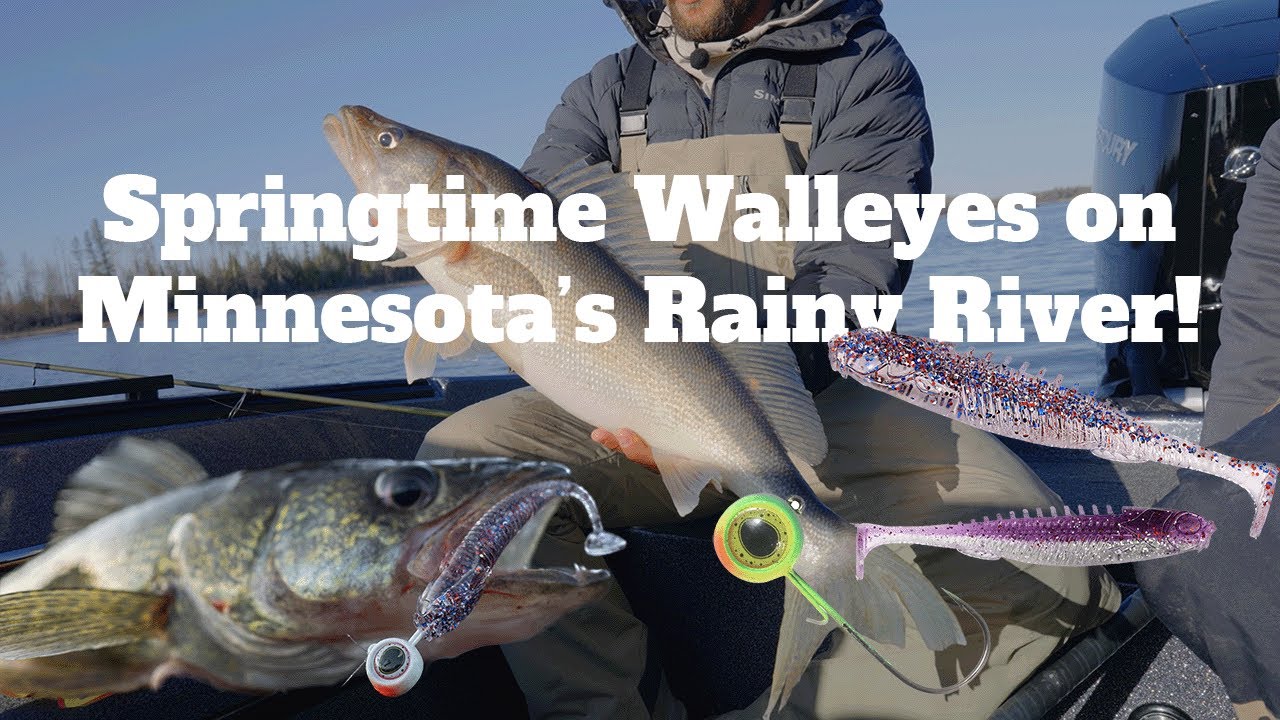Spring Walleye on Minnesota's Rainy River!