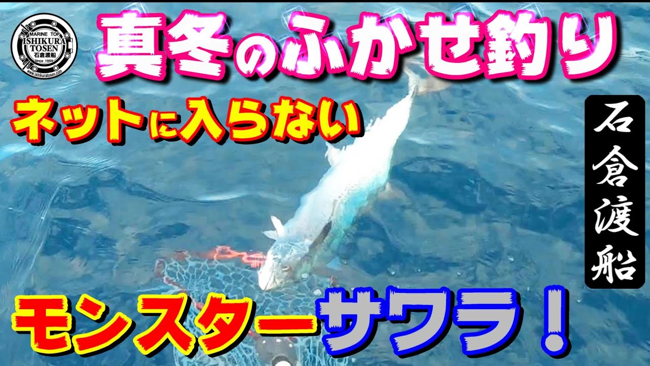 真冬のふかせ釣り【青物を狙い撃ち】