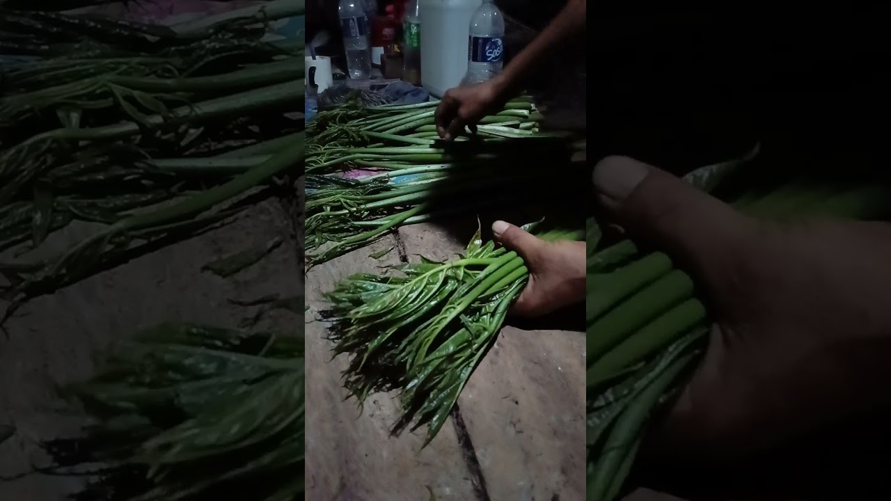 Tutorial Ikat Sayur Bungor