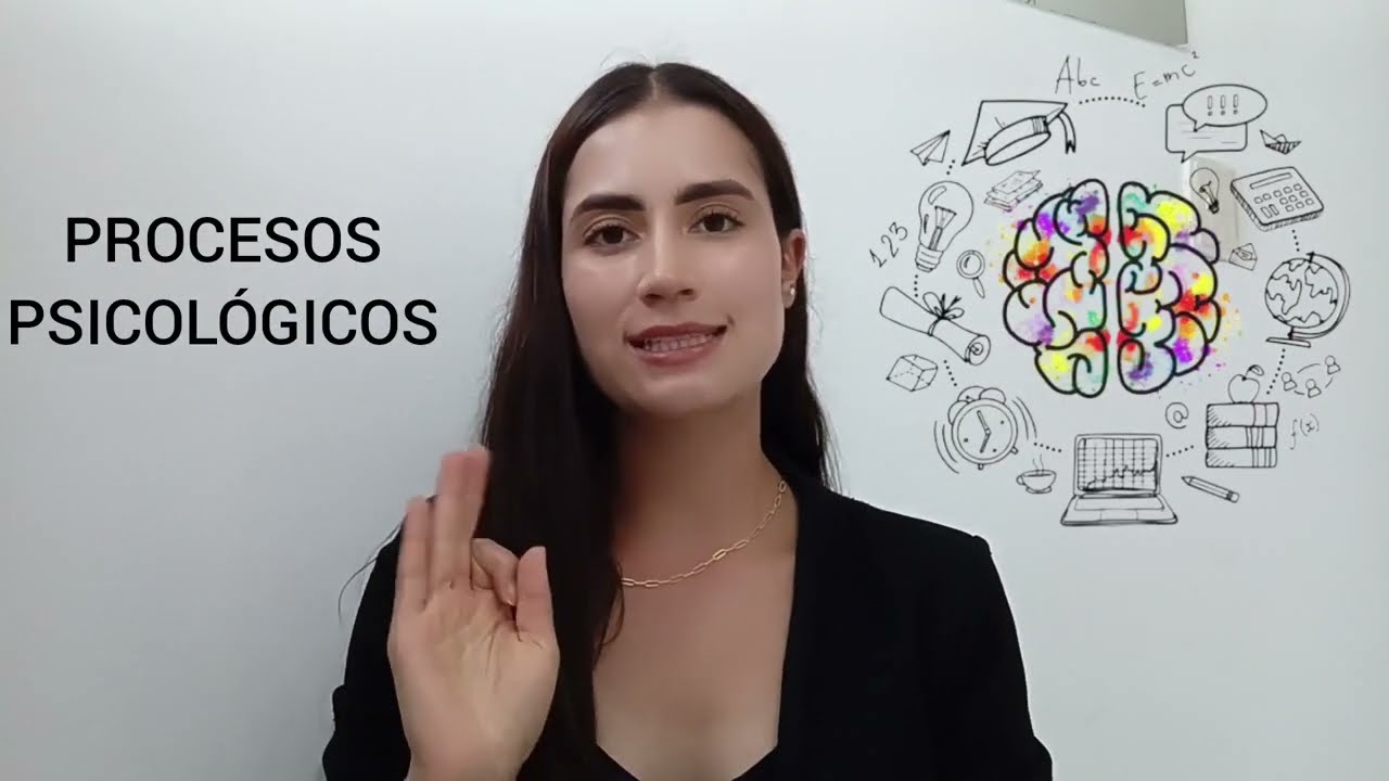 Procesos psicológicos (memoria, atención,percepción y sensación)