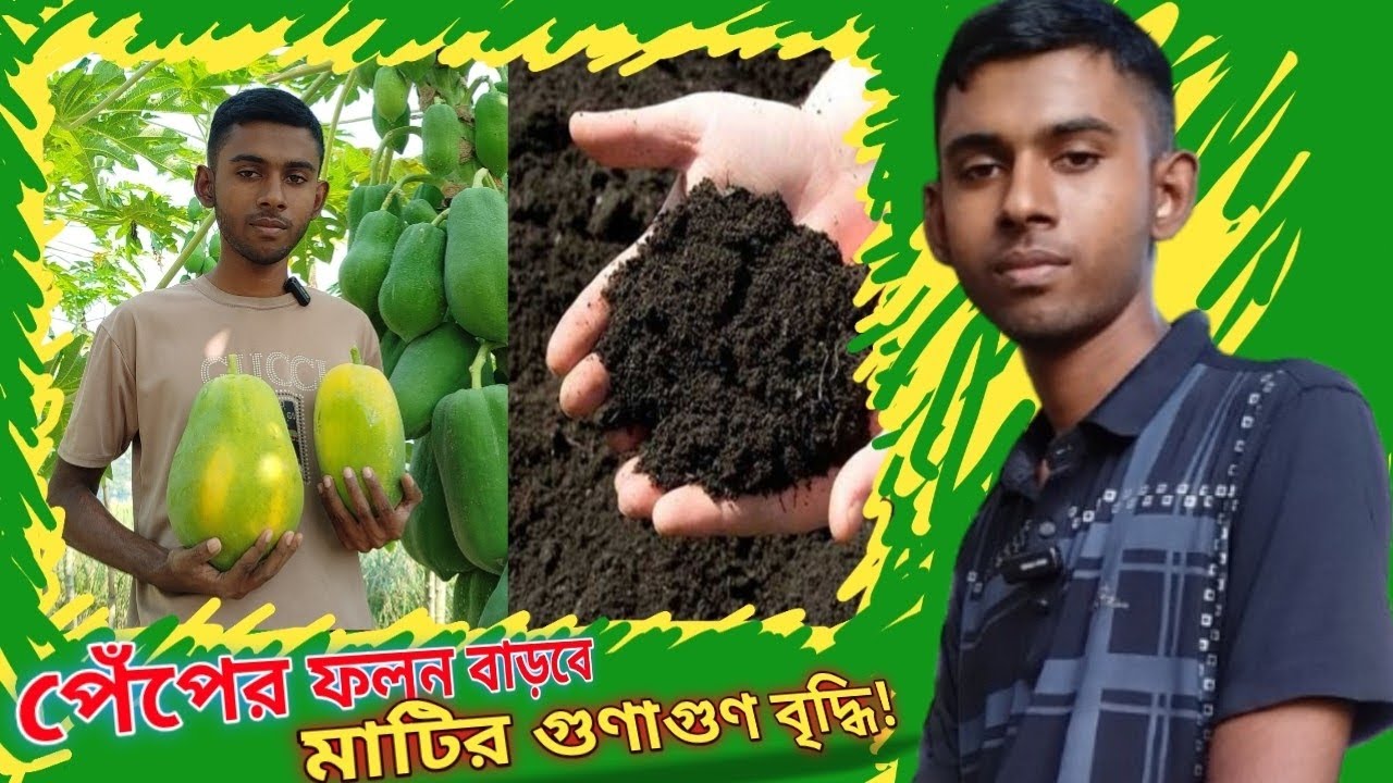 অধিক ফলন নিশ্চিত করতে মাটির গুণাগুণ বৃদ্ধি করন পদ্ধতি।  Agro Krishi BD
