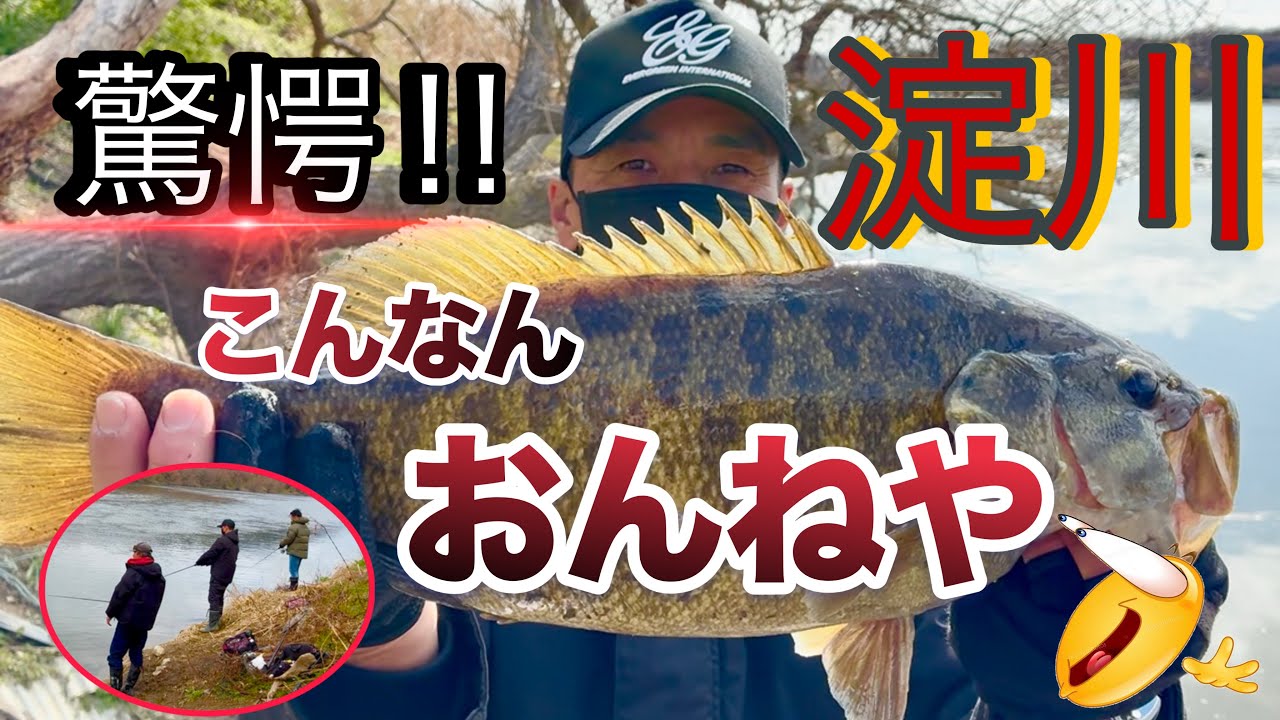 驚愕‼︎マジか？こんなん、おんねや⁉︎ 淀川【ブラックバス釣り】