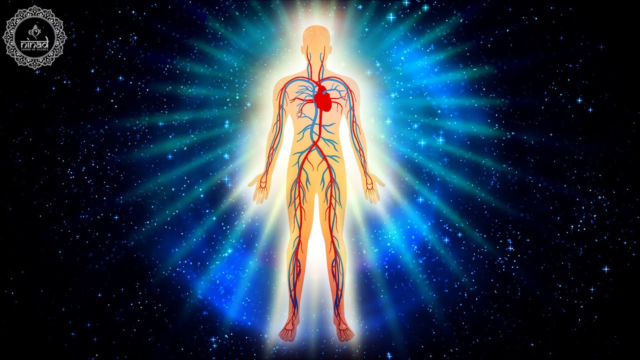 Heal Your Vagus Nerve | Parasympathetic Nervous System Stimulation | Lessens Sense of Stress -741 Hz