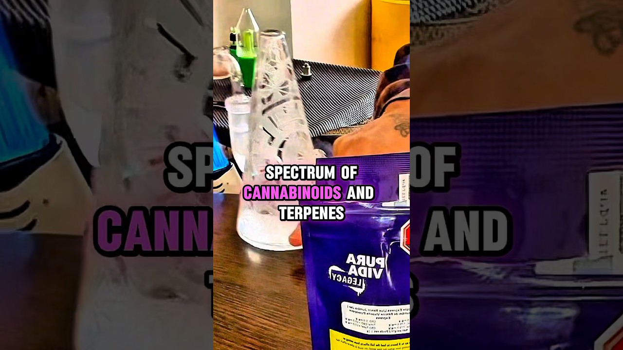Dabbing Pineapple Express Live Resin | Flavor Explosion