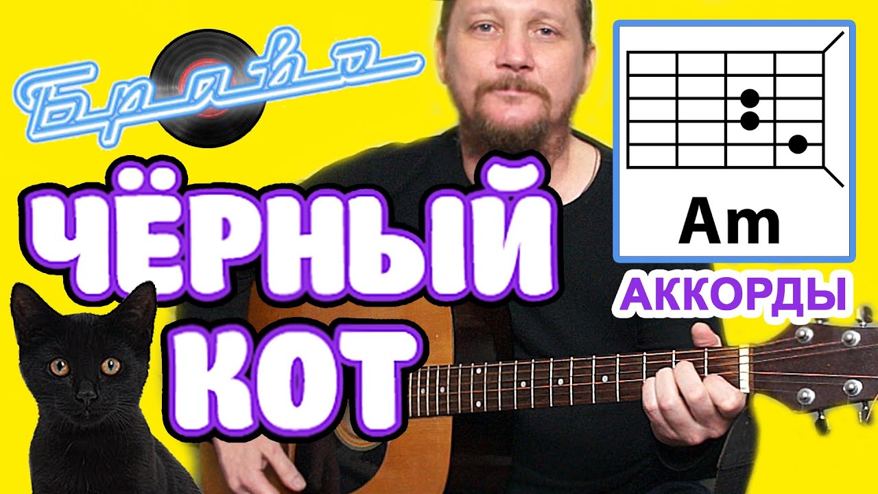 😺 ЧЕРНЫЙ КОТ - ГРУППА 
