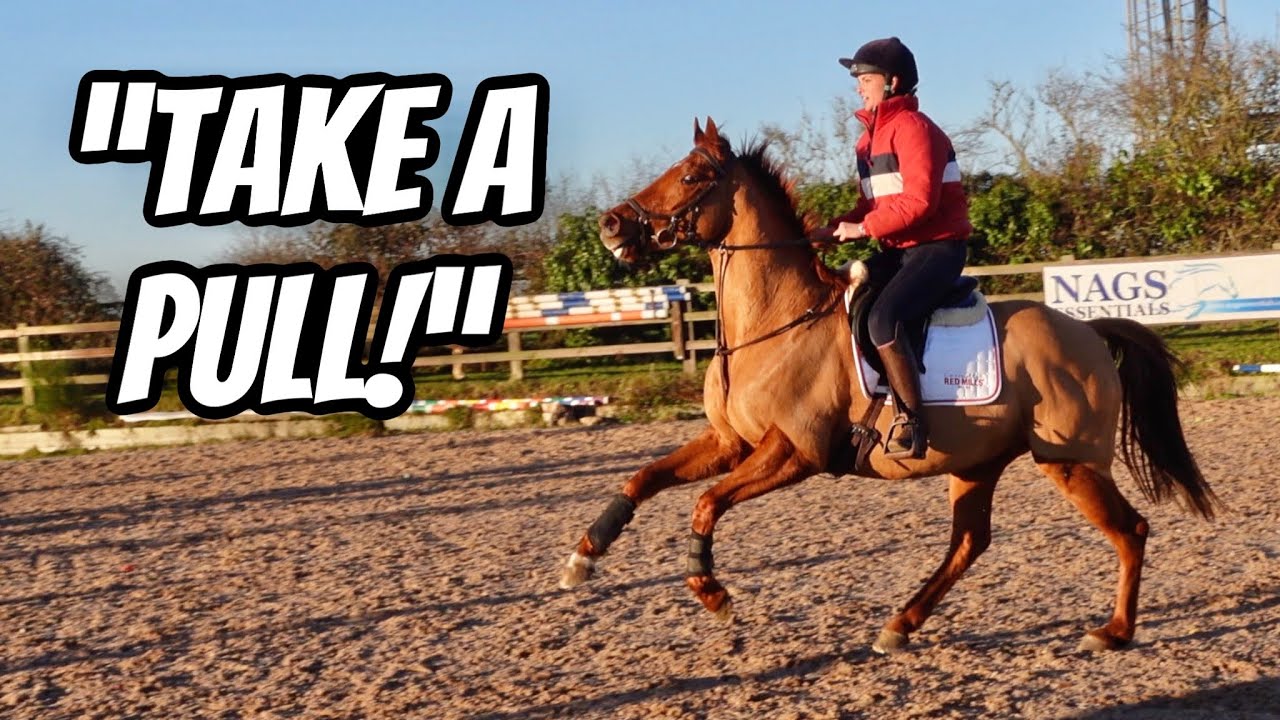 EXCITABLE JUMPING LESSON ON MY EX RACE HORSE WITH FRIENDS