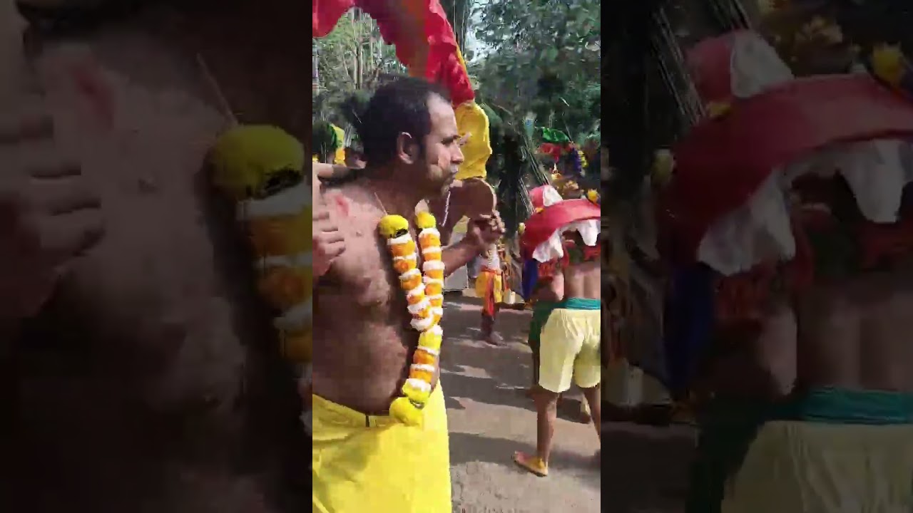 11 பிப்ரவரி, 2026