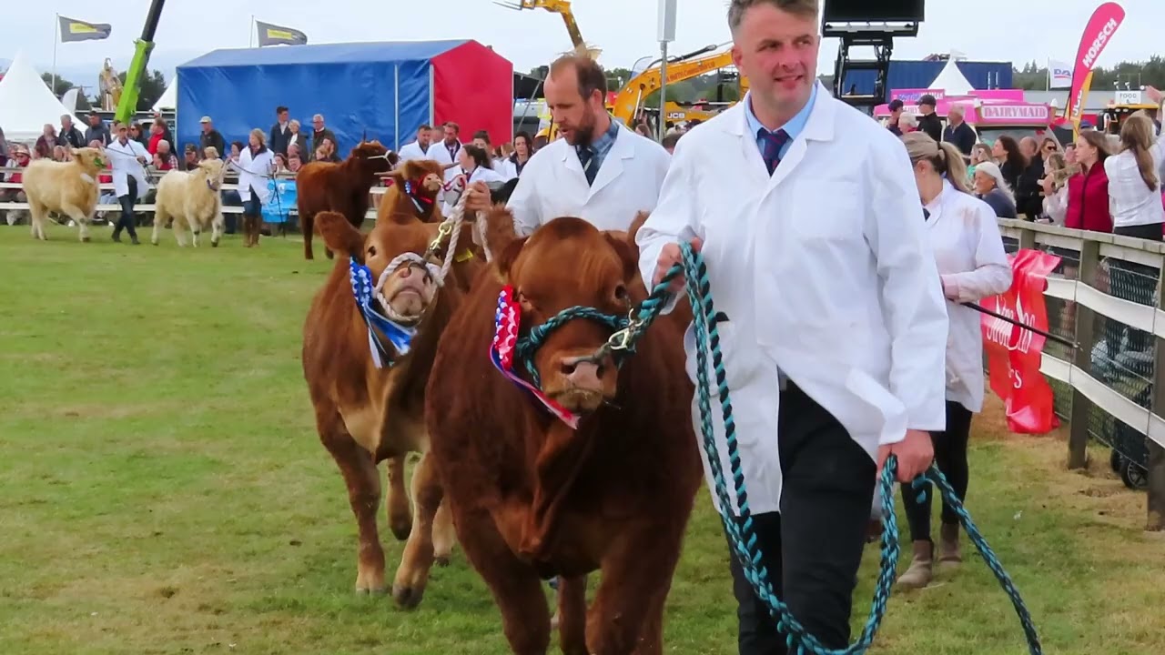 2025 Black Isle Show Livestock  Parade