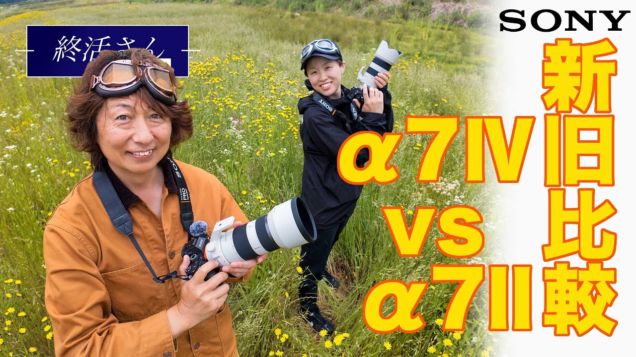 『終活さん172話』&alpha;7Ⅳと&alpha;7llそして新旧FE 70-200mm F4 G OSSを比べてみました
