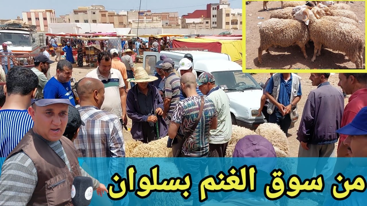 فقرة #كبش_العيد: جولة في رحبة الأغنام بسلوان قبل أسابيع من عيد الأضحى