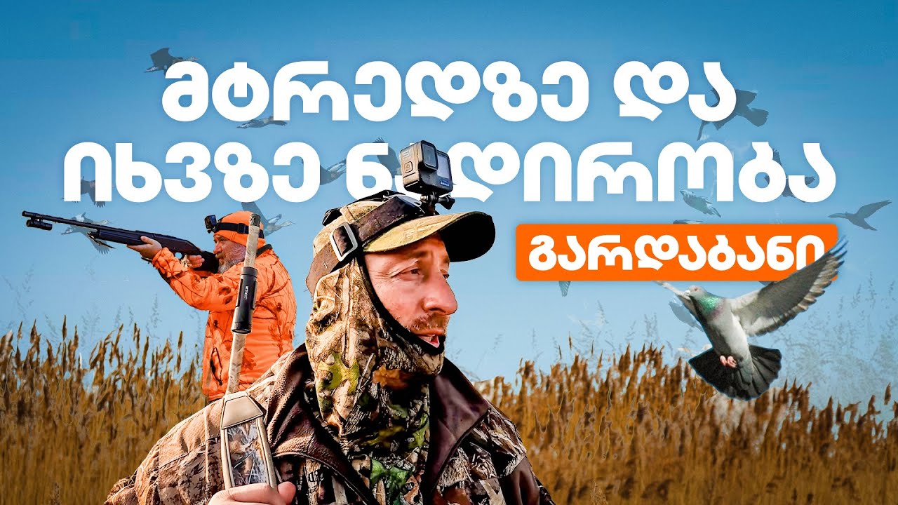 ნადირობა იხვზე და მტრედზე – გარდაბანი