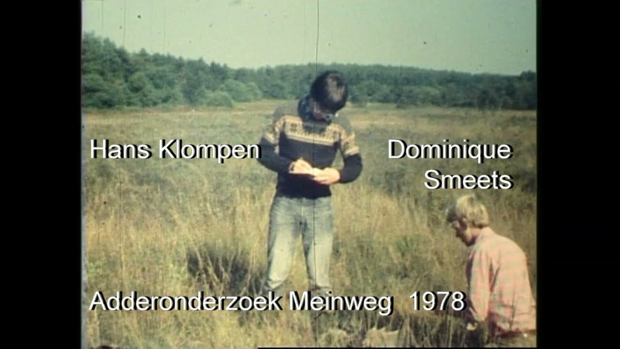 Meinweg Gagelveld 1977 - 2022