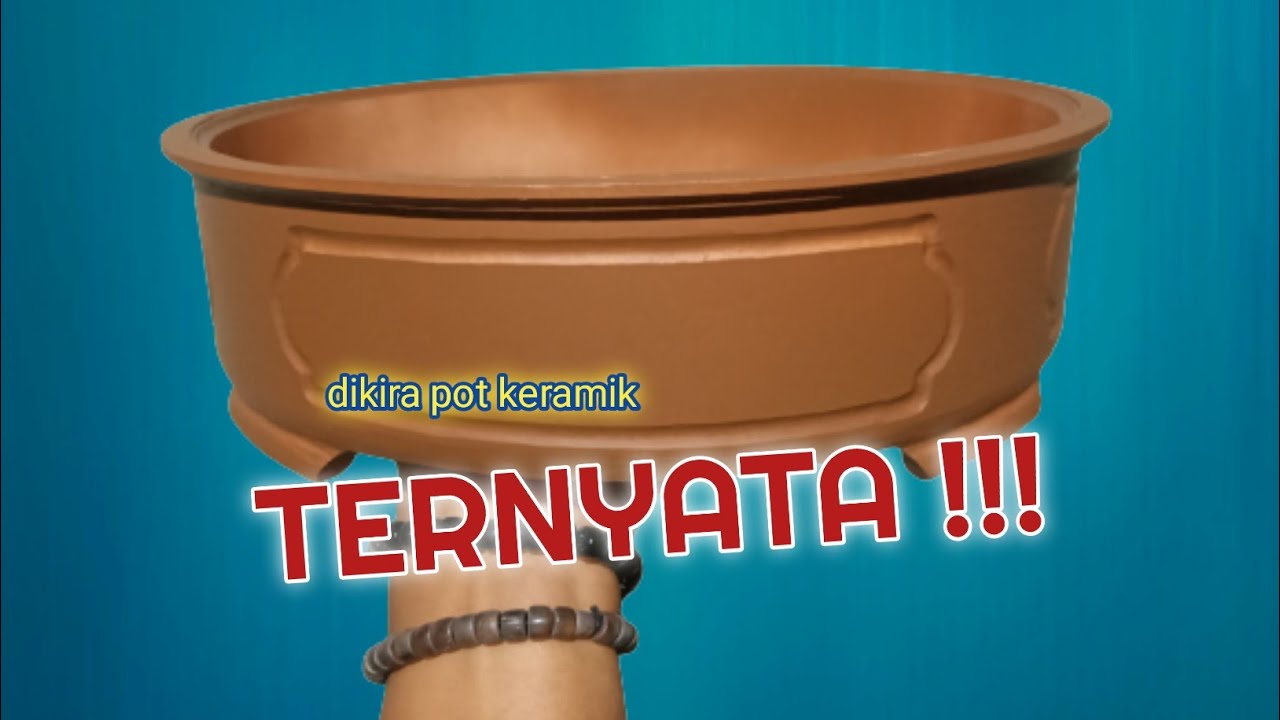 cara membuat pot bonsai dari paralon bekas(pipa PVC)