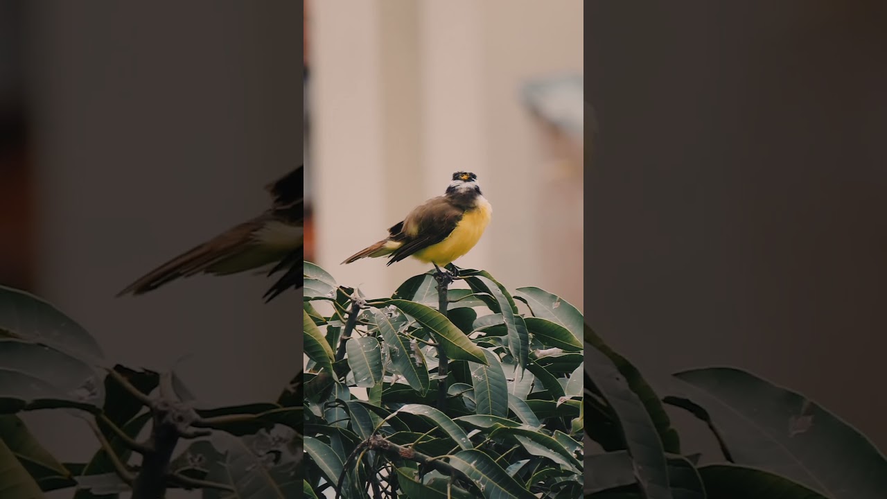 Honesty Before the Infinite #spirituality  #faith  #honesty  #reflection  #infinity  #eternity