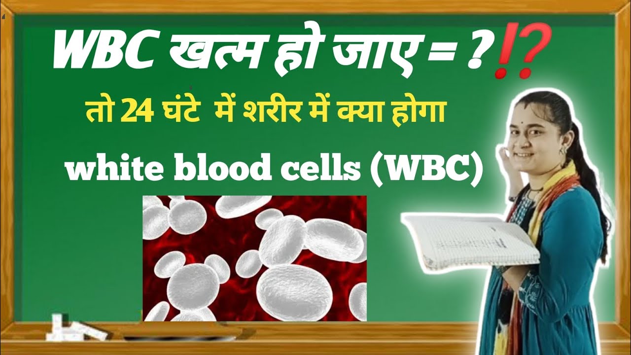 Class 10th biology अगर शरीर में से WBC 24 घंटे के लिए गायब हो जाए तो शरीर का क्या होगा ❓❓❓🙏