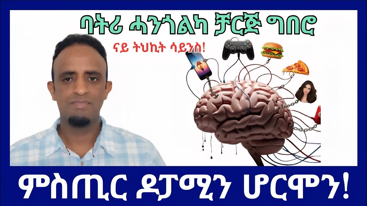 እዚ’ዩ እቲ ምስጢር፡ ሓንጎልካ ቻርጅ ግበሮ!